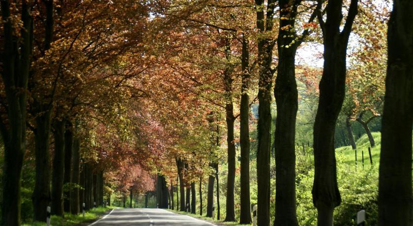 Altes Zollhaus Naehe Luxemburg Hotel Ammeldingen an der Our Eksteriør billede